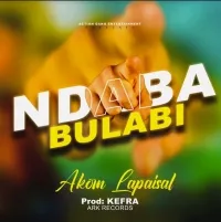 Ndababulabi