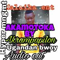 Akamotoka