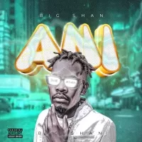 Ani