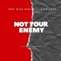 Not Your Enemy