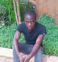 Bfe Afforestation (Zeitgeist Freestyle Challenge)