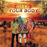 Shake Your Body