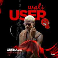 Wali User