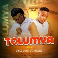 Tolumya Remix