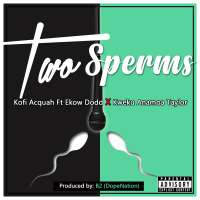 Two Sperms
