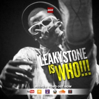 Leaky Stone is Who (Who is Who Reply)