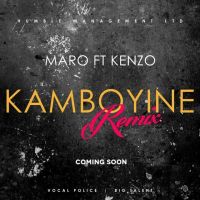 kamboyine (remix)