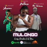 Mulongo Wange