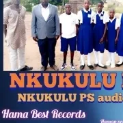 Nkukulu Primery school