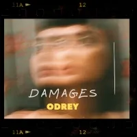Damages