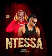 Nteesa