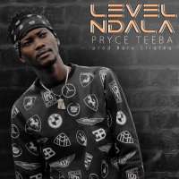 Level Ndala