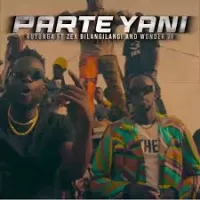 Parte Yani