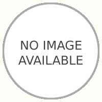 Wive Life Entertainment